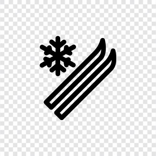 skiing holidays, skiing schools, skiing equipment, skiing resorts icon svg