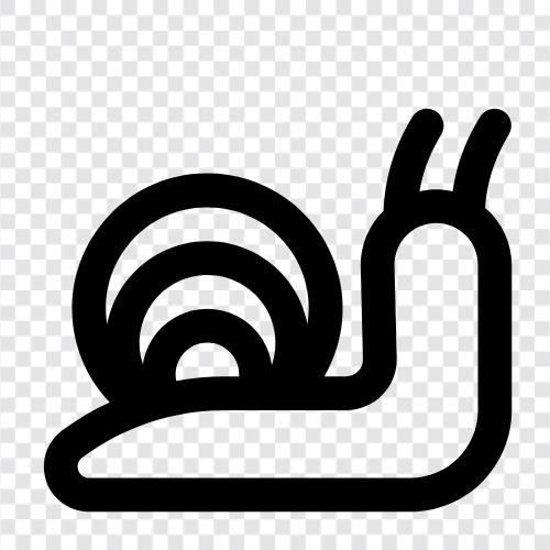 slipper, snail mail, snail mail system, snail mail system security icon svg