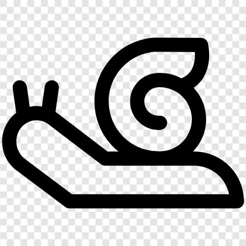 slither, crawl, snail mail, snail mail delivery icon svg