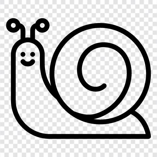 slither, crawl, spiral, pace ikon svg