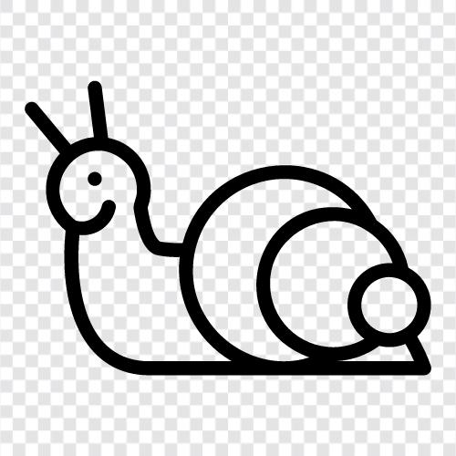 slither, inch, crawl, snail mail icon svg