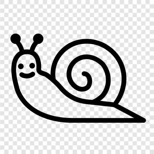 slugs, gastropods, mollusks, animals icon svg
