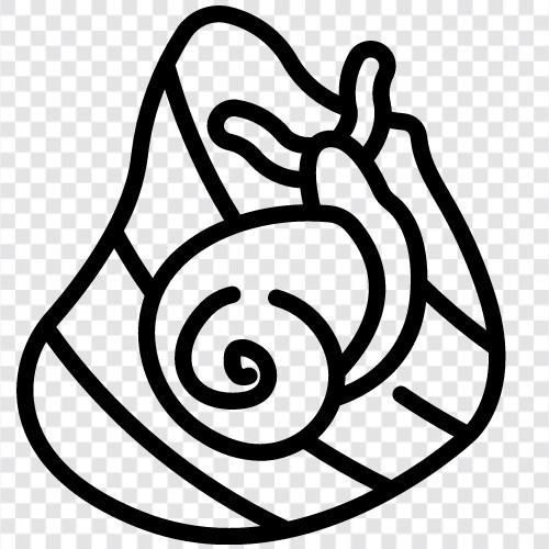 slugs, gastropods, mollusks, shellfish icon svg