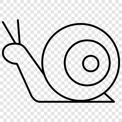 slugs, snail mail, snail trail, snail mail delivery icon svg