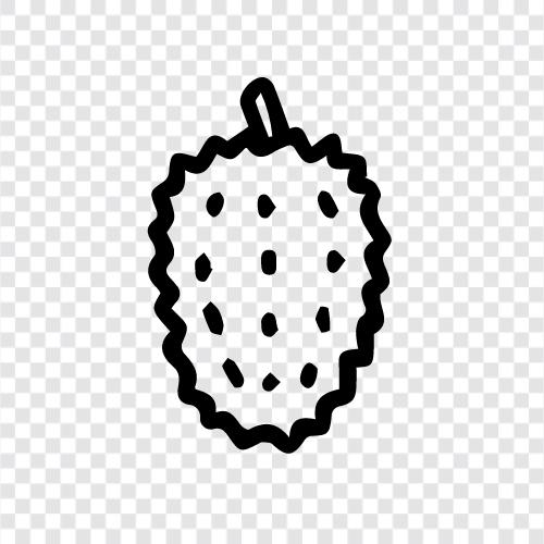 smell, fruit, delicious, spiciness icon svg