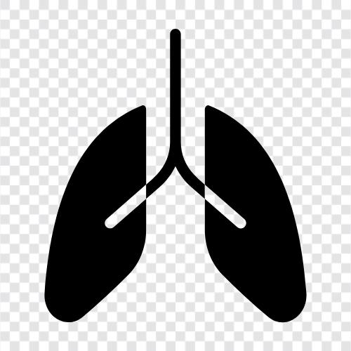 Rauchen, Krebs, Asthma, COPD symbol