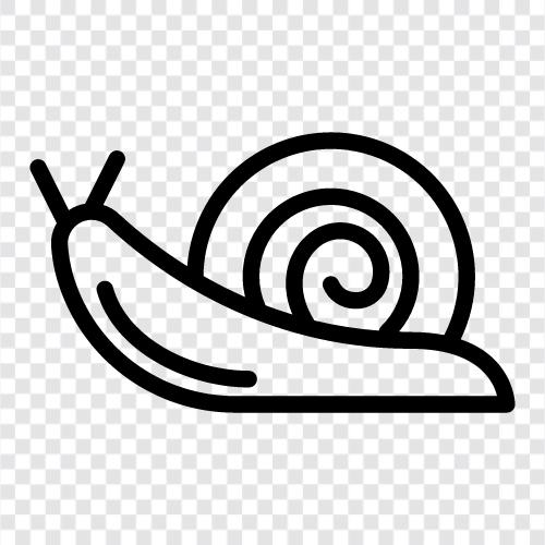 snail mail, slithering, slimy, slow icon svg