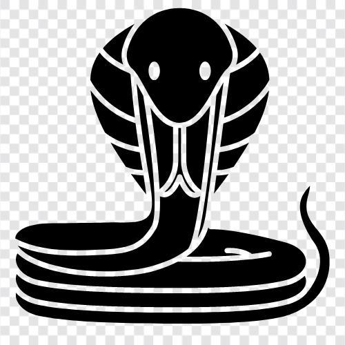 Snake Charmer, Snake Handler, Snake Trainer, Snake icon svg