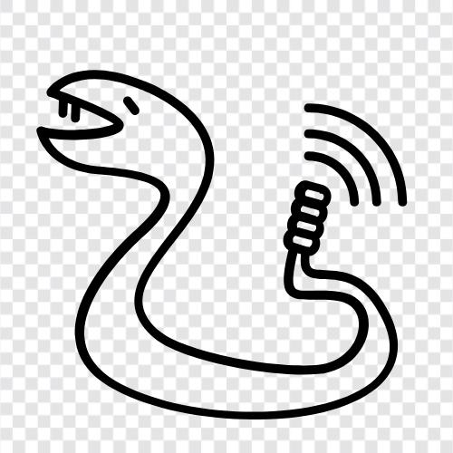 snakebite, snakebite prevention, snakebite symptoms, snakebite treatment icon svg