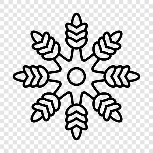 snowflake, snowflakes, flakes, frost icon svg