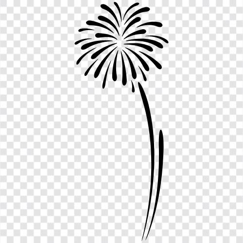 sparklers, fountains, Roman candles, Fireworks icon svg