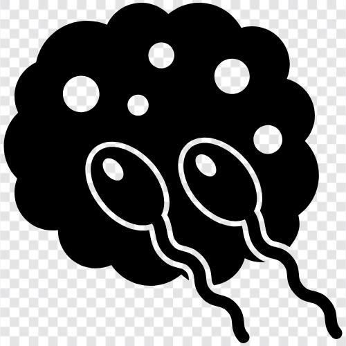 sperm, spermatozoa, semen, ejaculation icon svg