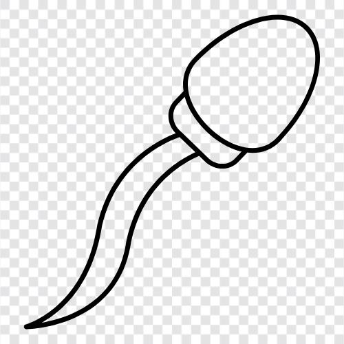 sperm count, sperm production, sperm motility, sperm morphology icon svg