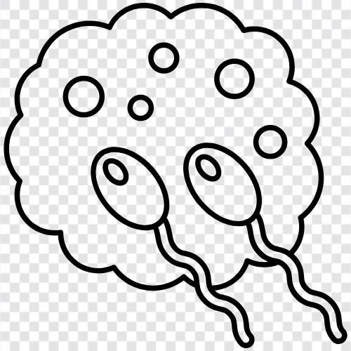 spermatozoa, spermatozoa analysis, sperm count, sperm Значок svg