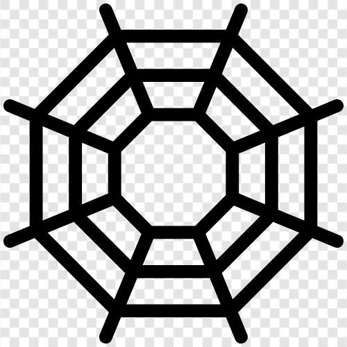 spider, web, spiderman, spiderwoman icon svg