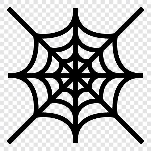 spider, orb weaver, web, spider web icon svg