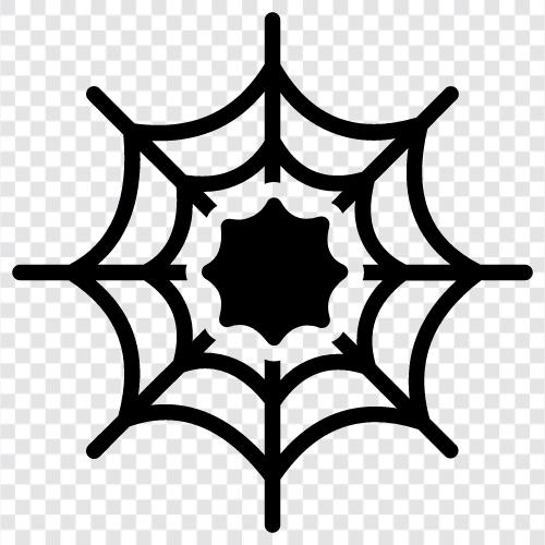 Spider, Webs, Web, Spiderwebs icon svg