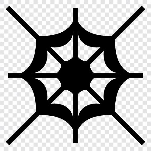 spider, spiderweb, cobweb spider, cobweb Weaver icon svg