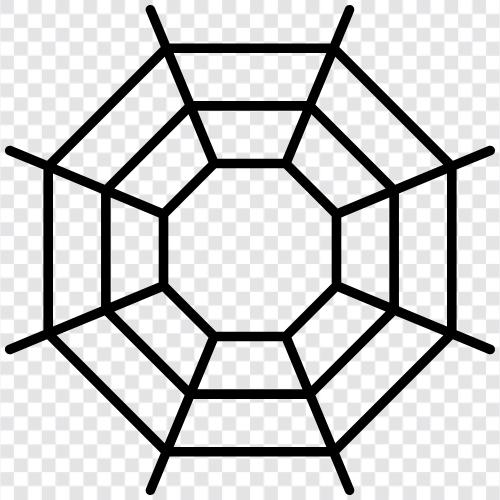 spider, web, spiders, arachnophobia icon svg