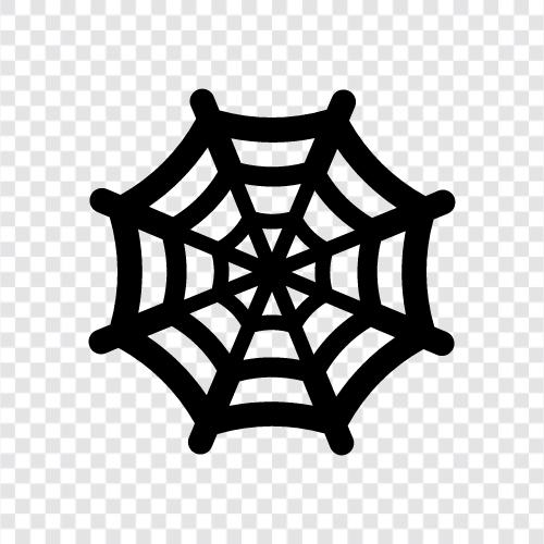 Spider, Web, Arachnid, Creepy icon svg