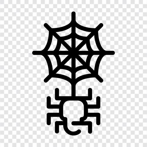 Spider, Web, Creation, Webs icon svg