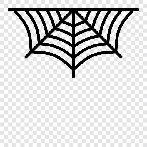 spider, cobweb, web, spinning icon svg