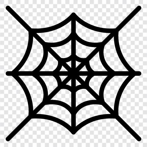 Spinne, Web, Spinnenweben, Web Site symbol