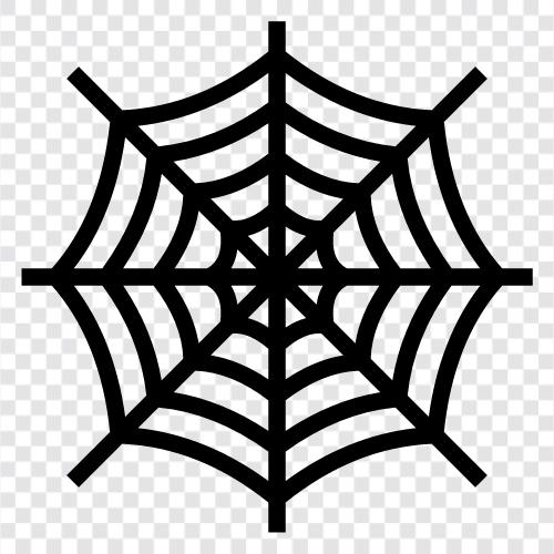 Spider, Web, Spiderman, Spiderman Eve Dönüş ikon svg