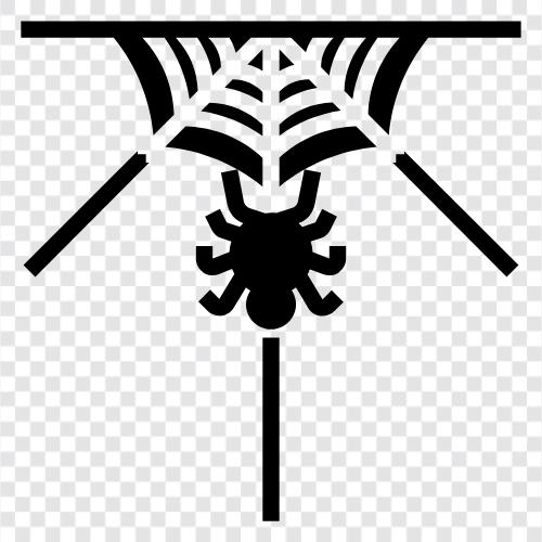 Spider, Web, Spiders, Building icon svg