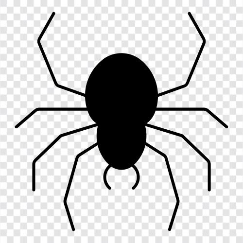 spider, scorpion, tarantula, daddy longlegs icon svg