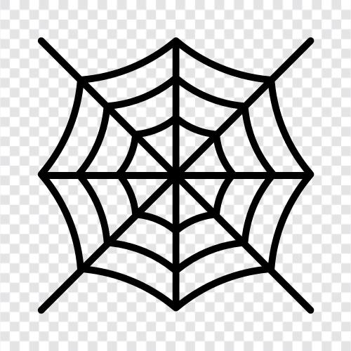 spider, spiderweb design, spiderweb software, spiderweb templates icon svg