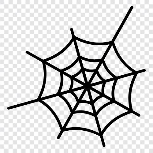 Spinne, web, spinnen, einfangen symbol
