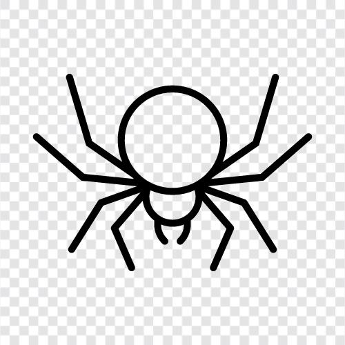 Spider Man, SpiderMan, SpiderWoman, SpiderMan 20 icon svg