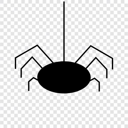 spider man, spiderman, spiderwoman, spidergirl icon svg