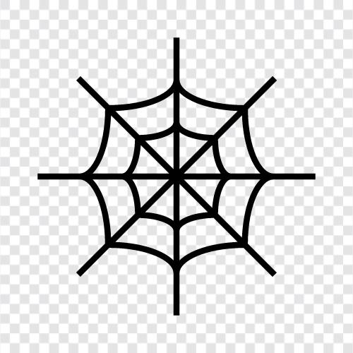 spider, spider webs, spider silk, spider silk production icon svg