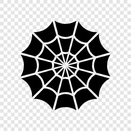 Spinne, Netz, Spinne Seide, Spinnennetze symbol