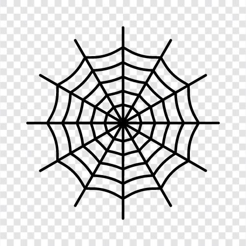 spider, spider webs, spider making, spider spinning icon svg