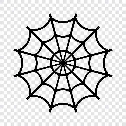 Spinne, Netz, erstellen, spinnen symbol