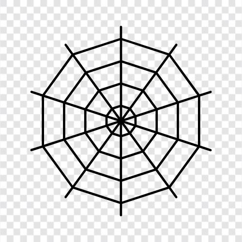 Spinne, Spinnennetz, Spinnenseide, Spinnennetzspinnen symbol