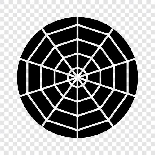 spider, spider webs, spider webs construction, spider webs for sale icon svg