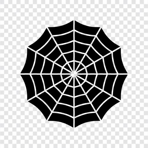 spider, spider webs, spider web, spider silk icon svg