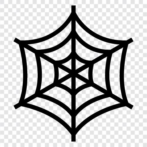 spider netting, spider webs, spider catcher, spider catcher for sale icon svg