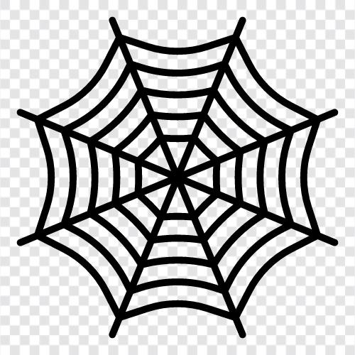 Spider Silk, Spider Web Silk, Spider Webs, Spider Websilk icon svg