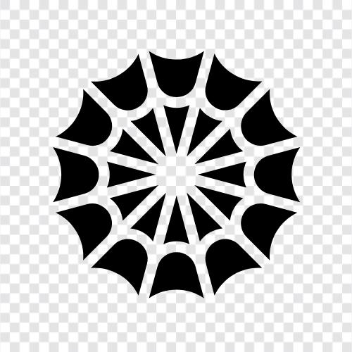 Spider web design, Spider web development, Spider, Spider Web icon svg