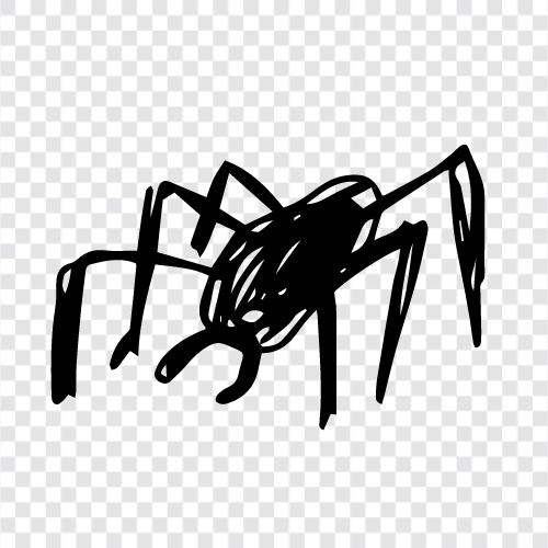 örümcek adam, arachnophobia, korku, örümcek adam kostümü ikon svg