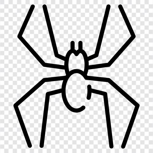 Örümcek Adam, arachnophobia, örümcek ısırığı, evde örümcekler ikon svg