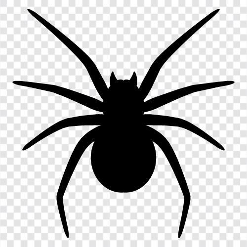 Örümcek Adam, süper kahraman, süper kahraman filmi, Örümcek ikon svg