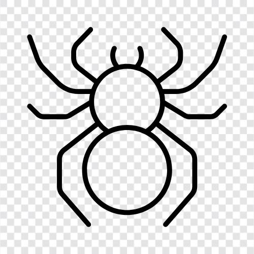 spiderman, spiderwoman, spiderman verse, spiderman comics icon svg