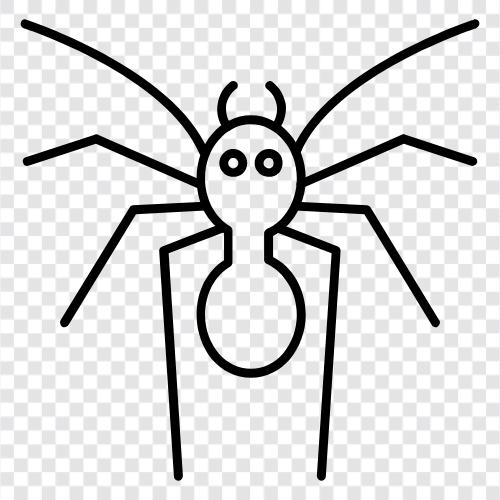 örümcek adam, örümcek kadın, örümcek kız, örümcek ikon svg
