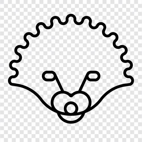 spines, quills, porcupines, pincers icon svg